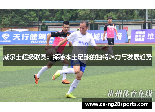 威尔士超级联赛：探秘本土足球的独特魅力与发展趋势