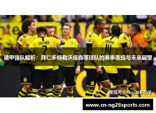 德甲强队解析：拜仁多特勒沃库森等球队的赛季表现与未来展望