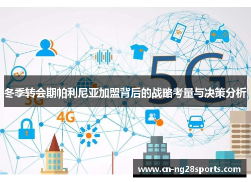冬季转会期帕利尼亚加盟背后的战略考量与决策分析