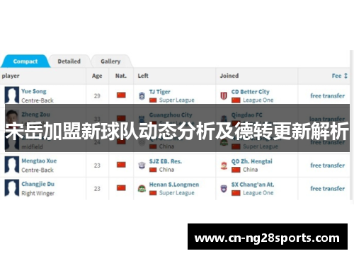 宋岳加盟新球队动态分析及德转更新解析