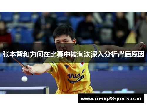 张本智和为何在比赛中被淘汰深入分析背后原因
