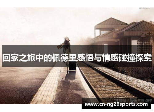 回家之旅中的佩德里感悟与情感碰撞探索