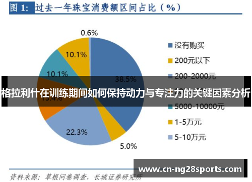 格拉利什在训练期间如何保持动力与专注力的关键因素分析