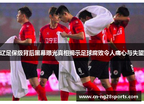 辽足保级背后黑幕曝光真相揭示足球腐败令人痛心与失望