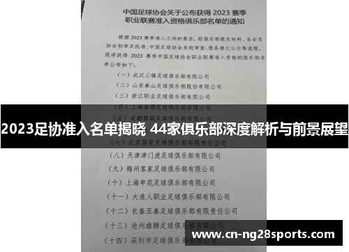 2023足协准入名单揭晓 44家俱乐部深度解析与前景展望