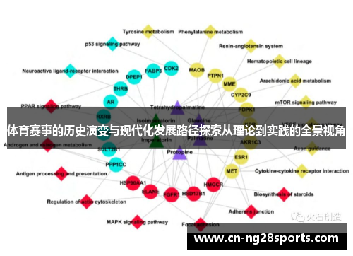 体育赛事的历史演变与现代化发展路径探索从理论到实践的全景视角