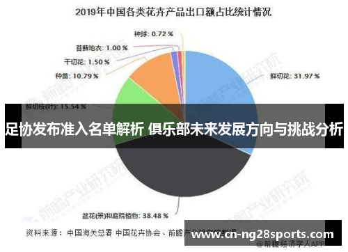 足协发布准入名单解析 俱乐部未来发展方向与挑战分析