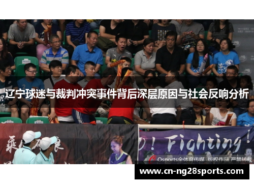 辽宁球迷与裁判冲突事件背后深层原因与社会反响分析