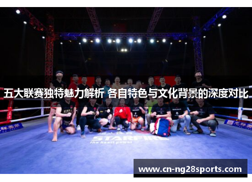 五大联赛独特魅力解析 各自特色与文化背景的深度对比