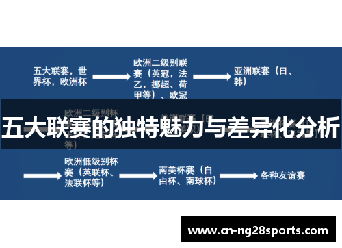 五大联赛的独特魅力与差异化分析
