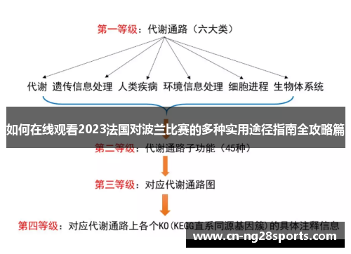 如何在线观看2023法国对波兰比赛的多种实用途径指南全攻略篇