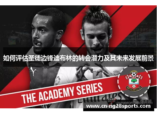如何评估圣徒边锋迪布林的转会潜力及其未来发展前景