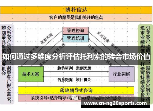 如何通过多维度分析评估托利索的转会市场价值